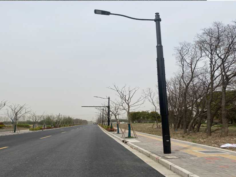 定安上海综合杆 太阳能路灯工程